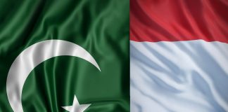 Fransa Pakistan’ı Vize Dolandırıcılığıyla Suçladı