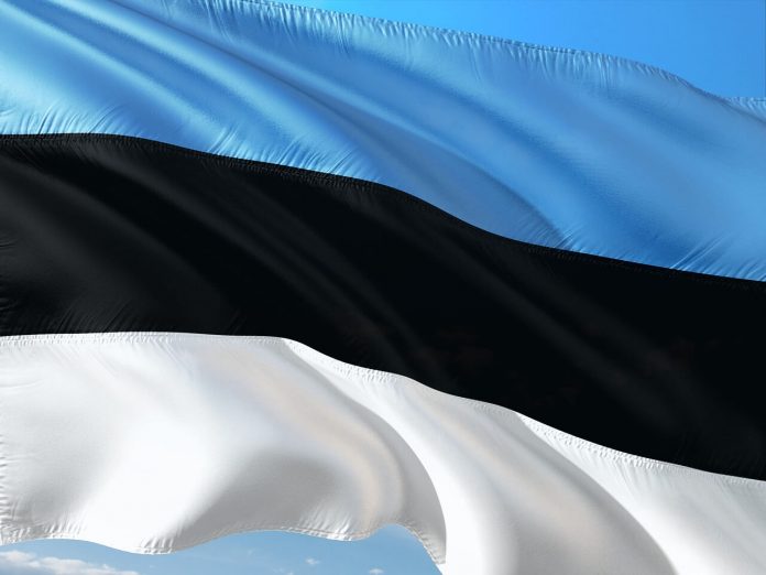Estonya Vizesi Ret Cevabına İtiraz Edilebilecek