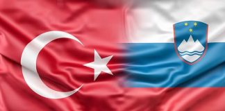 Slovenya’dan Türkiye'ye vize serbestliğinde destek sözü