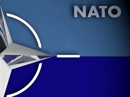 NATO Gerginliğine Scholz Yorumu